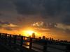 Miami city sunset